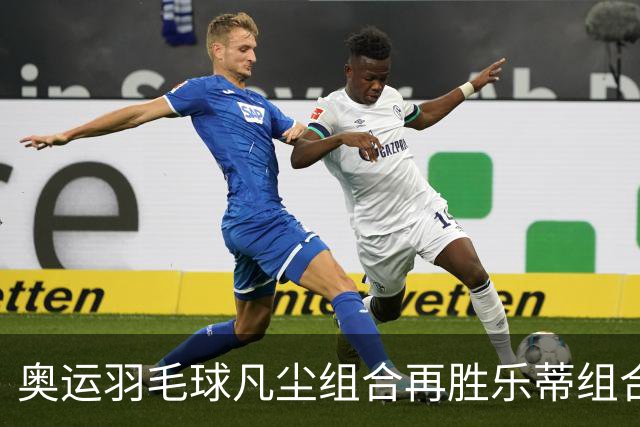 奥运羽毛球凡尘组合再胜乐蒂组合 闯进女双决赛
