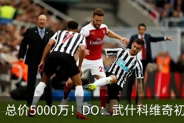 总价5000万！DO：武什科维奇初始转会费4600万镑，热刺有二转分成